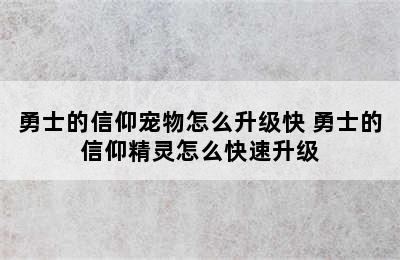 勇士的信仰宠物怎么升级快 勇士的信仰精灵怎么快速升级